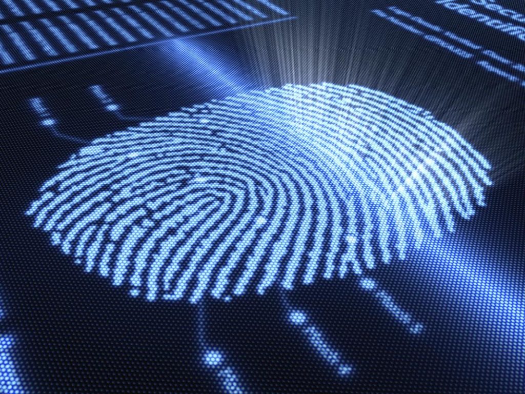 fingerprint